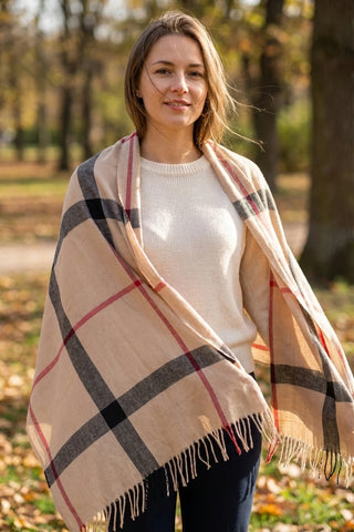 Model