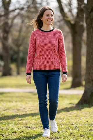 Model